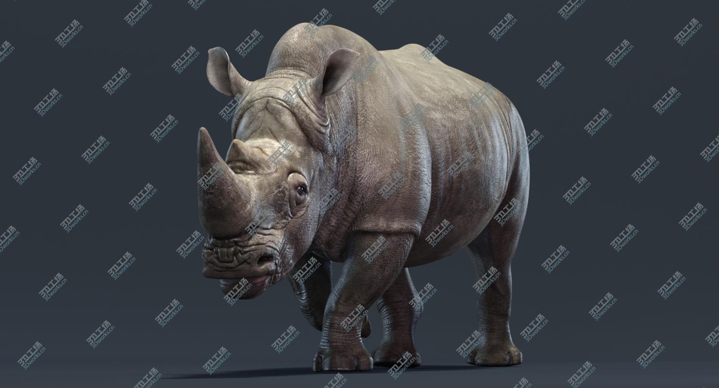 images/goods_img/20210319/Rhino (Animated) 3D model/2.jpg